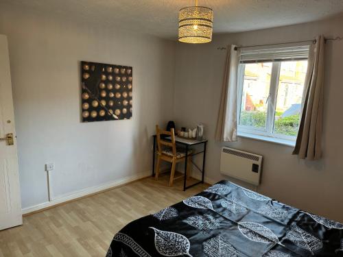 Spacious Tidy Room in Splott