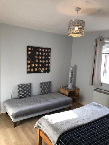 Spacious Tidy Room in Splott