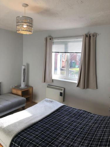 Spacious Tidy Room in Splott