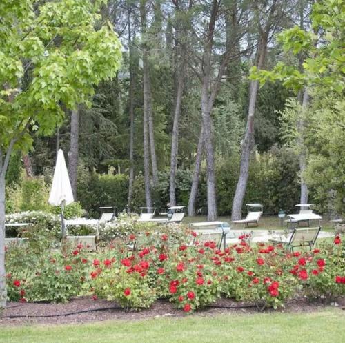 حديقة, Casa Cortona - 2 Bedroom apartment in Sant'Angelo