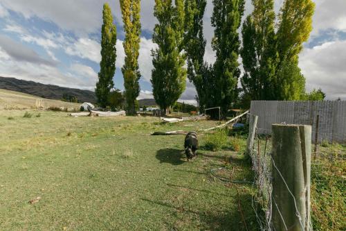 Country Garden Retreat by Tiny Away in Waipiata