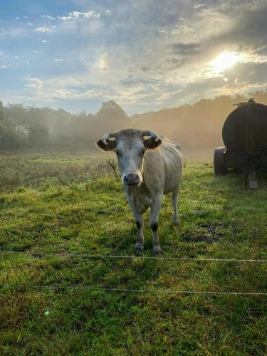 外部景觀, Rural Guest Apartment In Grevlunda Hills in 聖奧洛夫