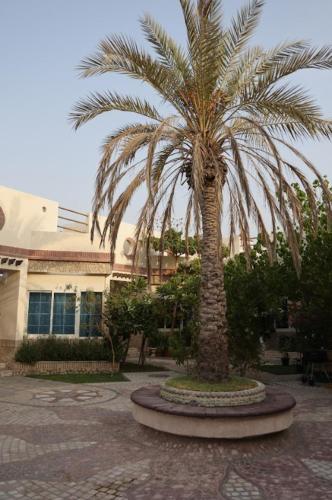 Emirati Stay Comfort & Local Charm Villas - 3, Dubaï (photo 4)