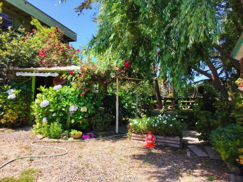 Cabañas y Hostal Karibe (Cabanas y Hostal Karibe) in Pichilemu