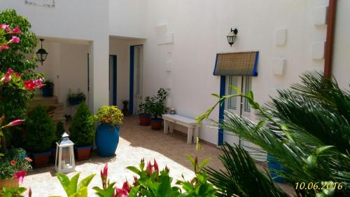 B&B Antiche Stelle Salento