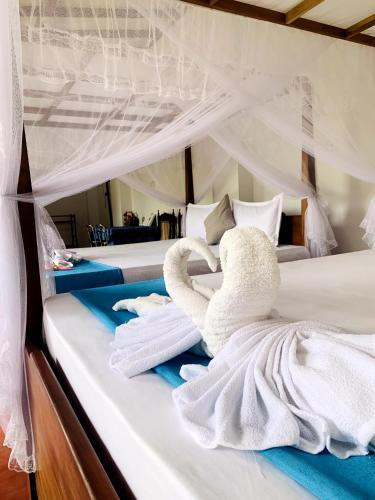 SILVER RAIL, Galle (fotografie 9)