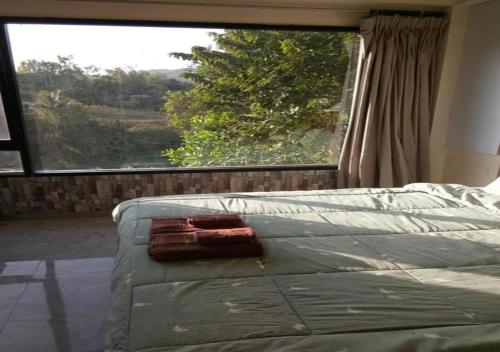 The Resort Phu Fah Chai Nam - image 4