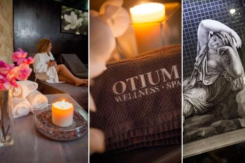 奥斯蒂亚安堤卡公园温泉酒店