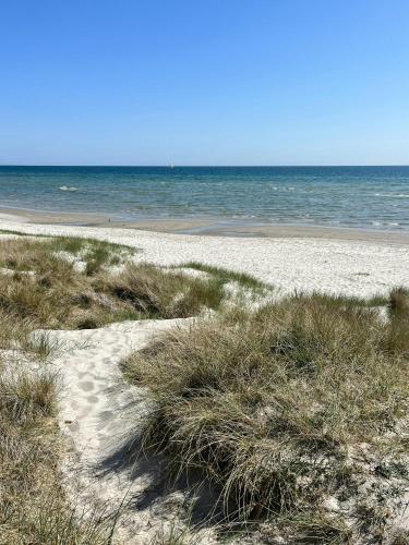 Exterior view, Colourful Flat Near Beach And Nature in Hals