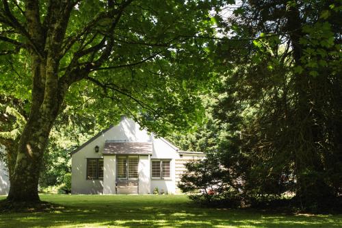 The Broadmead Boutique B&B - image 3