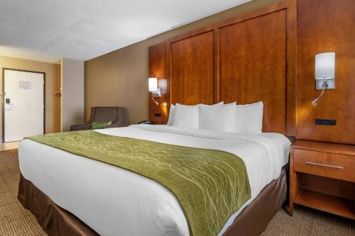1 king bed