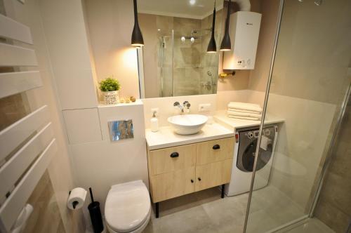 One-Bedroom Apartment image 6