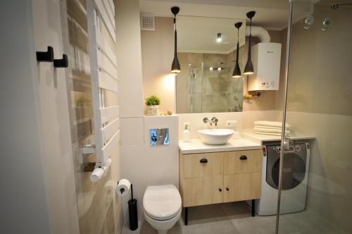 One-Bedroom Apartment image 4