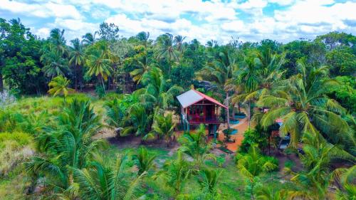 Surrounding environment, Sigiri Sandilu Homestay in Sigiriya