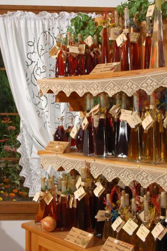  Safetis Stories in Díon