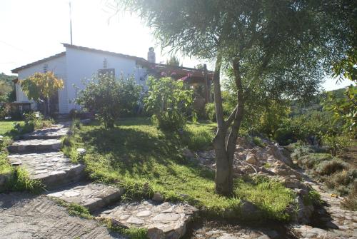 O Ioannis gîte à louer Kritinía
