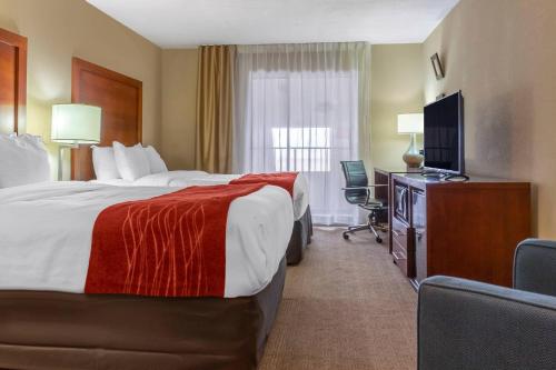 Comfort Inn Albuquerque Airport - image 10