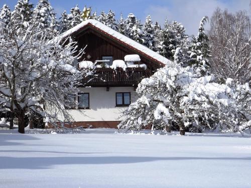Spacious Countryside Home