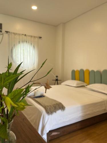 Casa Nueve 5