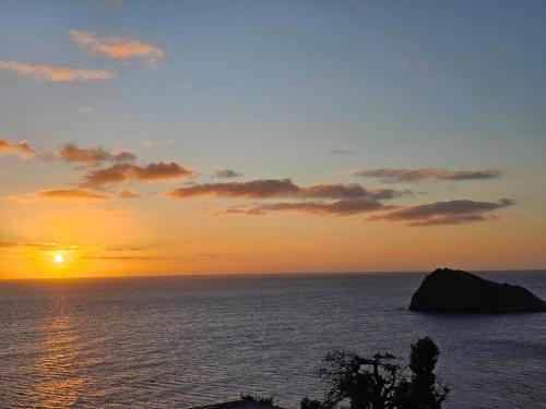 T3 Cosy face à l'îlot (T3 Cosy face a l'ilot) in 치코니