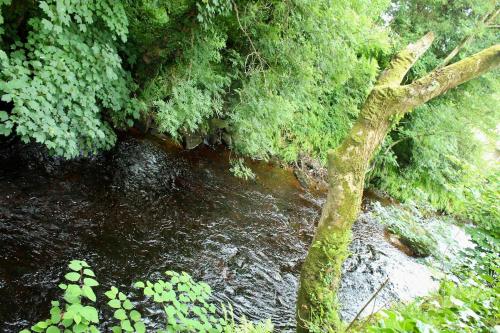 Riverside Haven in Ardara in Drumbaran