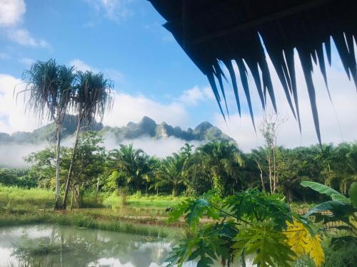 View, Khaosok Eco House in Phanom