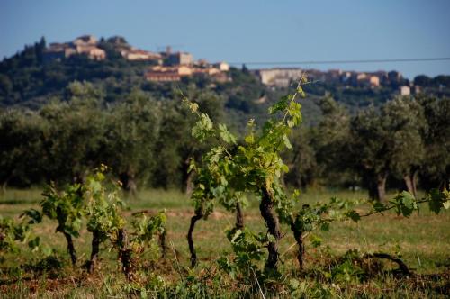 Agriturismo Quattro Pini