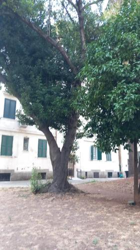 Roma centro little house of testaccio, Rom (Foto 6)