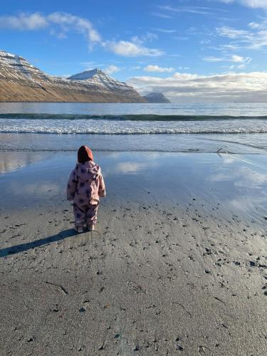 Ocean View Apartment in Soldarfjordur