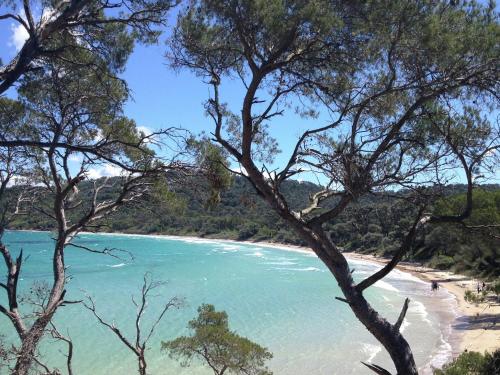 Lovely house in Provencal style 2 kilometers from the sea and beach - main image