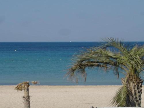 Lovely house in Provencal style 2 kilometers from the sea and beach - image 3