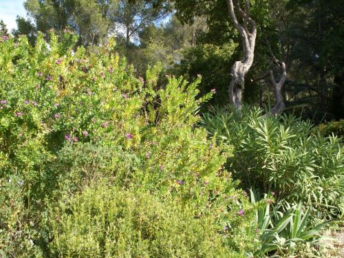 Lovely house in Provencal style 2 kilometers from the sea and beach - image 14