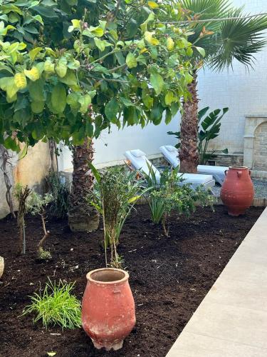 Garden, Saint George Cottage in Paliani