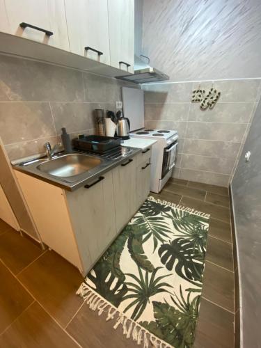 مطبخ, Baja's Garden Apartman in Bajina Basta