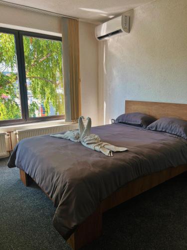 Apartman Alinac