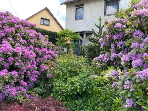 Wohnung nahe Inselsberg Wanderwege in Waltershausen, Deutschland