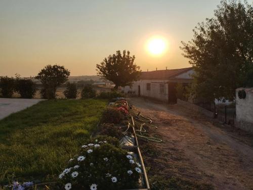 . La Granja de Juli