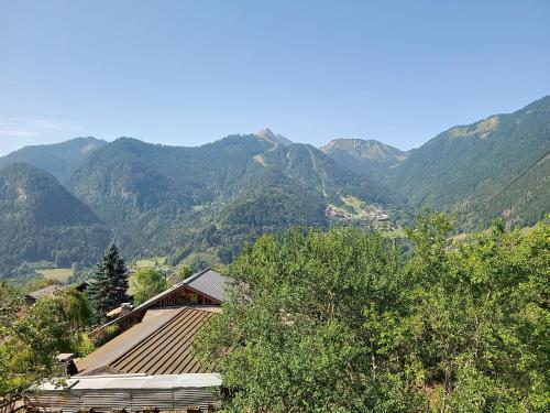 Skats, Chalet Josapiar in Le Biot