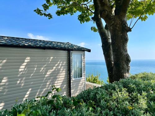 Lower Cliff 9, Portland (fotografie 3)