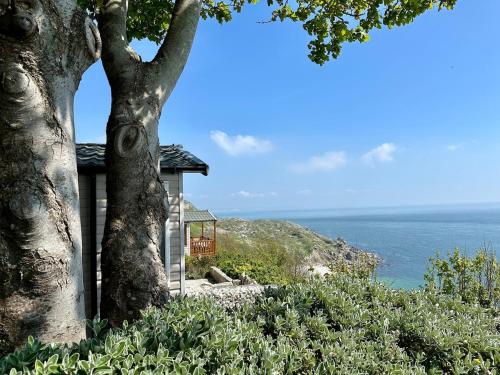 Lower Cliff 9, Portland (fotografie 4)