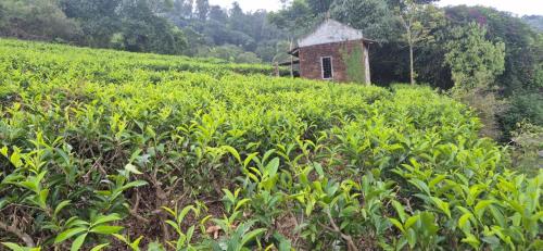 Vellore Garden Home Stay in Pambanar