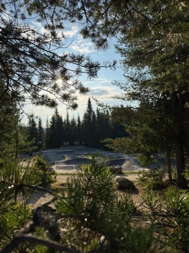 Спорт и активный отдых, Hytte med sentral beliggenhet in Трюсиль