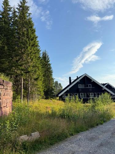 Экстерьер, Hytte med sentral beliggenhet in Трюсиль