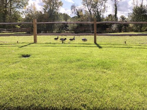 Vista exterior, Well Cottage in Horsham