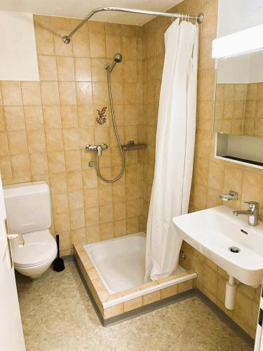Zurich City Center Apartments next to Zurich HB Main Train Station LA, Curych (fotografie 7)