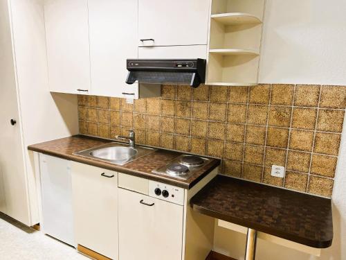 Zurich City Center Apartments next to Zurich HB Main Train Station LA, Curych (fotografie 9)