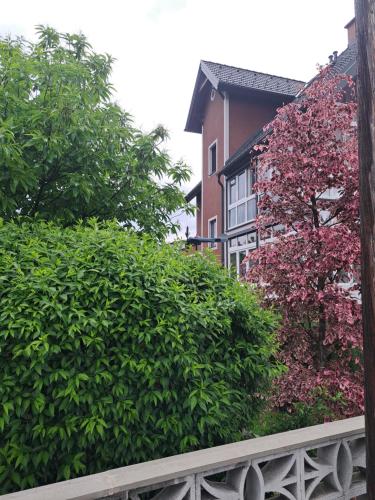 Exterior view, Ferienwohnung Bauer in Wetzelsdorf