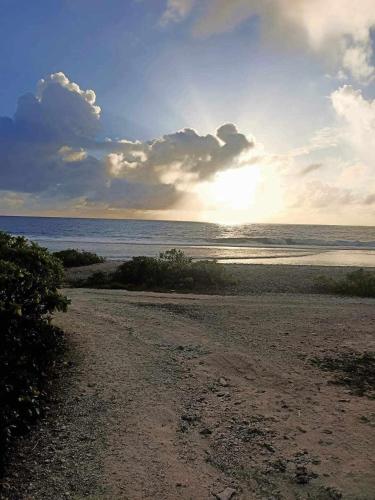 Ahuura Lodge in เกาะโมปิติ