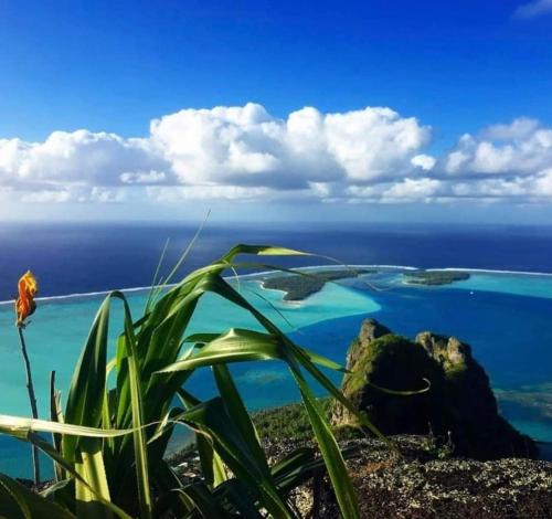 Ahuura Lodge in เกาะโมปิติ