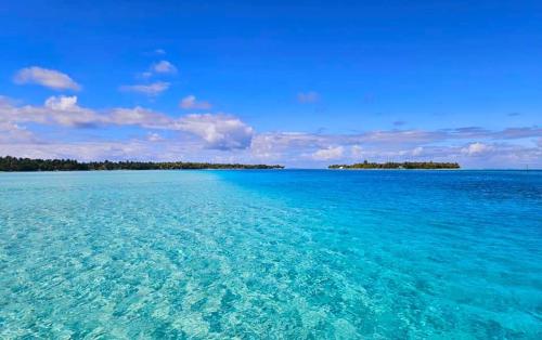 Ahuura Lodge in เกาะโมปิติ